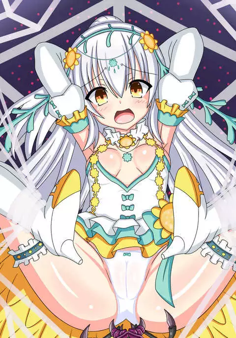 "Hanazono no Seiya" Shirotaegiku