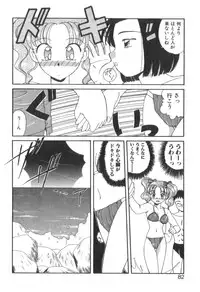 [Akifuji Satoshi] Four Seasons