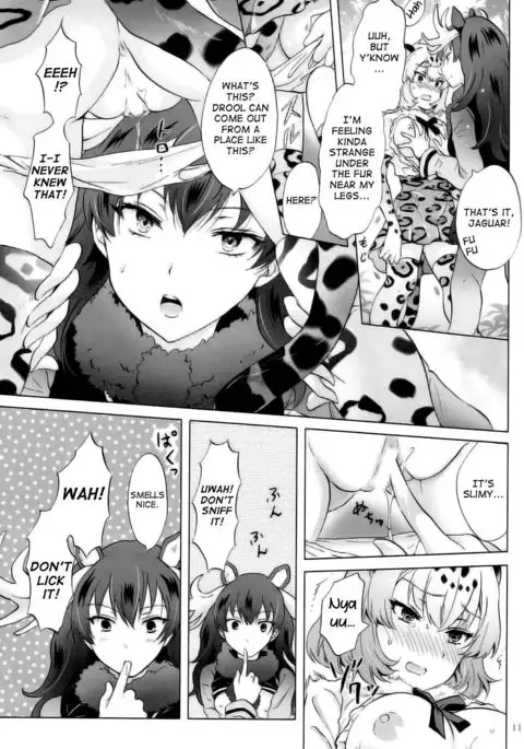 Jaguar wa Tabun Tatakawanai | Jaguar Doesn't Fight