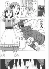 (COMIC1☆4) [Studio Wallaby (Niiruma Kenji)] Yadoya no Ruida (Dragon Quest IX)