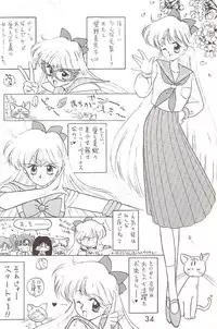 [BLACK DOG (Kuroinu Juu)] Star Platinum (Bishoujo Senshi Sailor Moon)