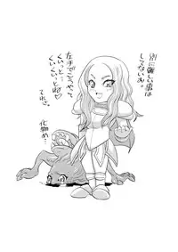 (C73) [Sarurururu (Doru Riheko)] CLAREMOE (Claymore)