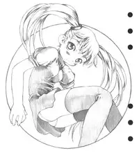 [Ruri Ruri] Super Barning Fire File (Martian Successor Nadecico)