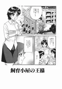 [Chikaishi Masashi] Goukan Hanzai - Rape Crime