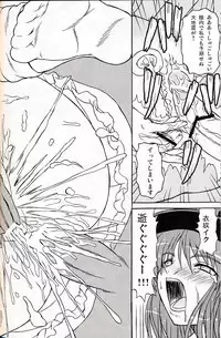 (C75) [Takakuya (Takaku Toshihiko)] Touhou Youjo Ranbu 9 (Touhou Project)