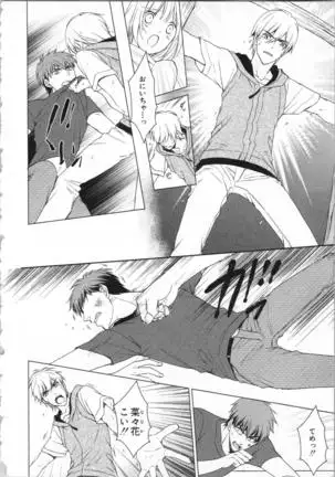 Aiyoku Mujintou - Otoko Yonin to Onna Hitori no Natsuyasumi