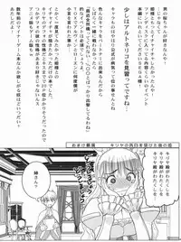 [Donzoko Kashiwa Meshi (Mask the J)] HIMESAMA TO (Shining Force)