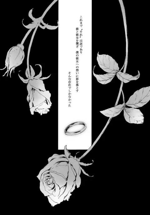 Kiseki no saki