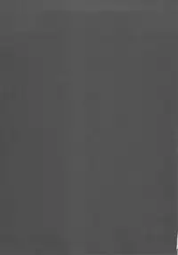 (C78) [Toko-ya (HEIZO, Kitoen)] Saint Foire Festival