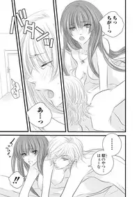 Darenimo Ienai Maru himitsu + vol.12