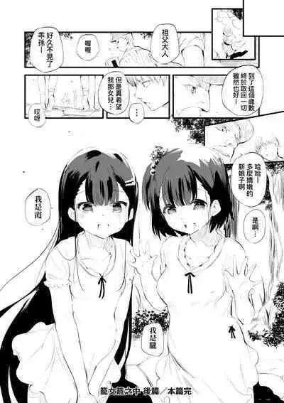 Shinme Tori - symmetry