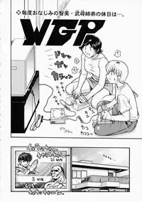 [ToWeR] Ane ni wa Zettai Kanawanai