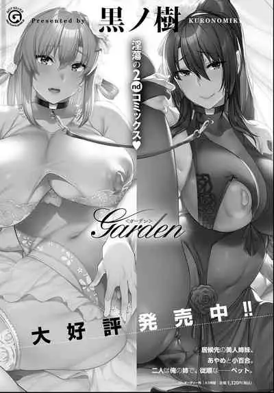 COMIC Anthurium 2021-06