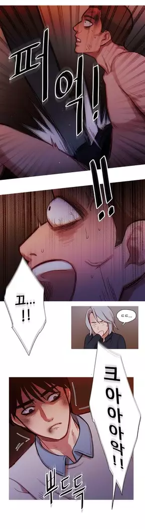 Scandal of the Witch Ch.0-35