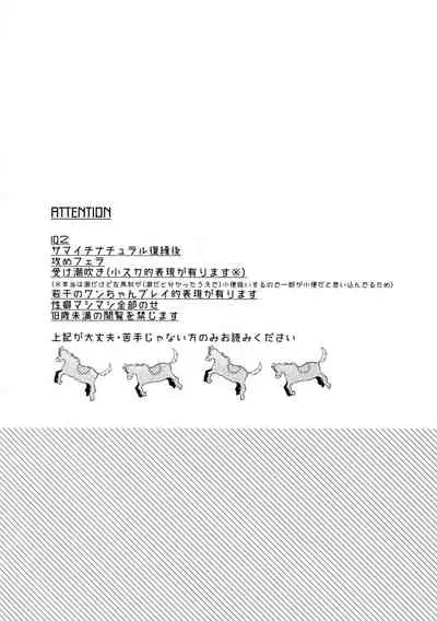 Ichalove Car Sex Book