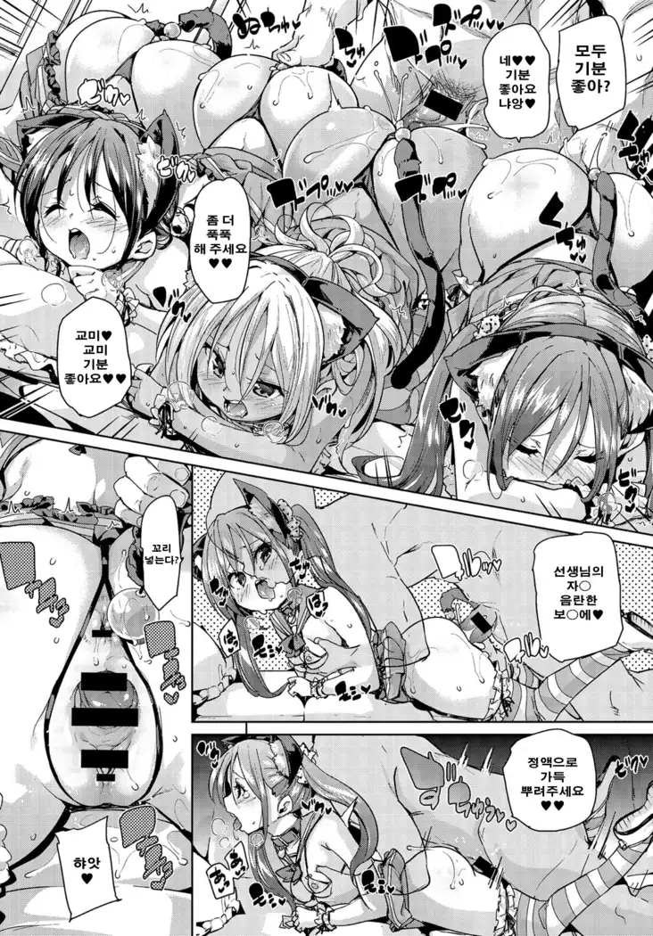 Nekocafe hatuzyuutyuu