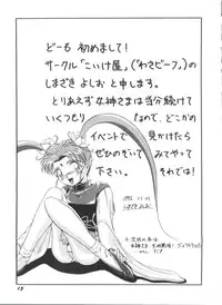 [Anthology] Bishoujo Doujinshi Anthology 19 (Various)