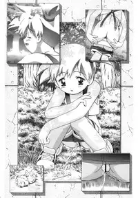 (C80) [Gambler Club (Kousaka Jun)] PM GALS Soushuuhen (Pokemon)