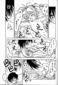 (C56) [Bible (Ogata Satomi)] Kyouakuteki Shidou Vol. 12 Junbigou (Cardcaptor Sakura)