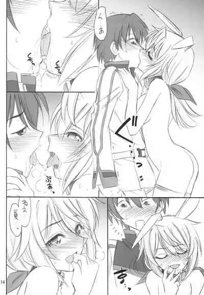 (C81) [EINSATZ GRUPPE (Charlie Nishinaka)] BLACK & WHITE (IS <Infinite Stratos>)