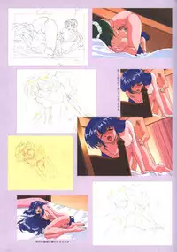 [Artbook] Viper F40 -Official Art Gallery-