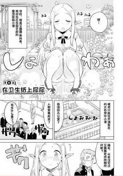 Where is the elf teacher's toilet?