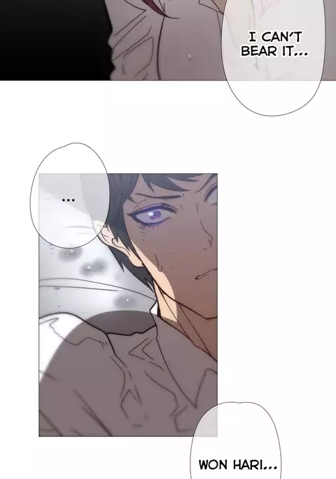 Household Affairs Ch.1-38