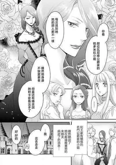 Ouji sama no Kyuuaihouimou | 王子殿下的求愛包圍網~目擊者，被奪走雙唇