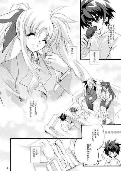 (C80) [Hanzai Tengoku (Hasei Agana)] Happiness (Mahou Shoujo Lyrical Nanoha) [Digital]
