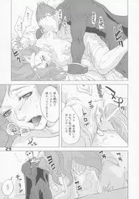 (C74) [Hohgakuya (Tohzai, Namboku)] ROUND02 (Darkstalkers)