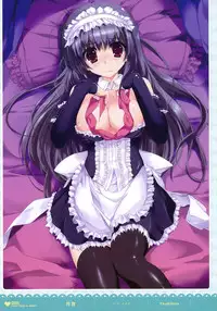 MOEOH Selection - Artbook Sugoi Otona no Moeoh