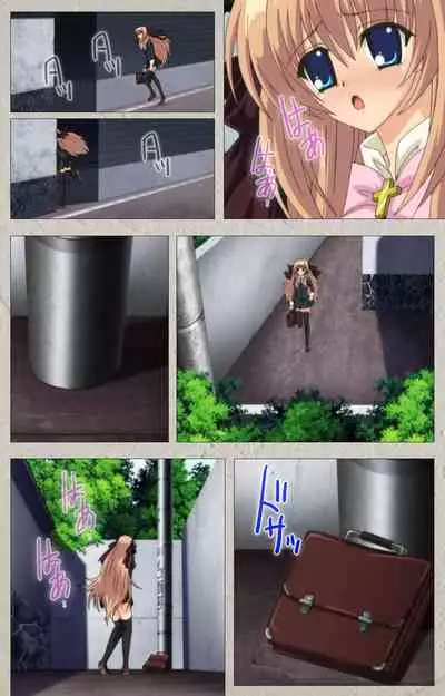 Asa Kara Zusshiri Milk Pot Kanzenban