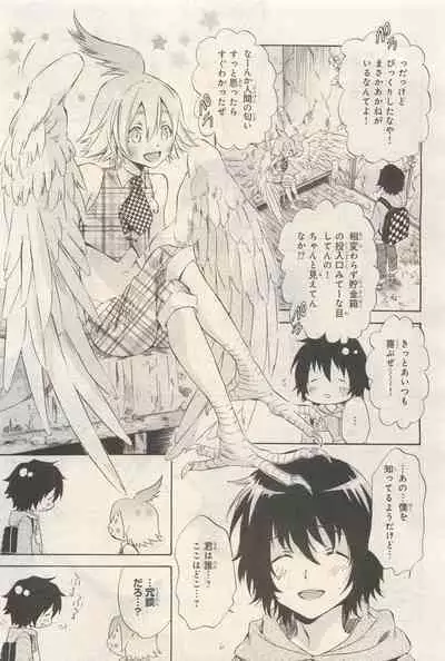 BE・BOY GOLD 2014-12