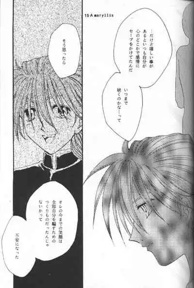 [Youkai Club (Hazuki Younosuke)] Amaryllis (Gundam Wing)