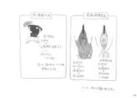 School Days Design Data Collection