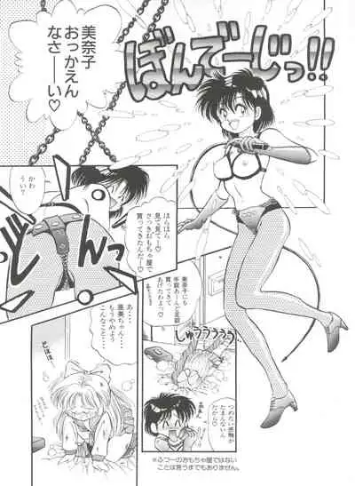 Shin Bishoujo Shoukougun 1 Reimei Hen