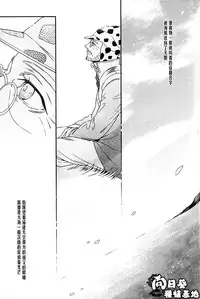 [JOJO][JC]Stelle[CN]