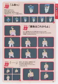 Super Real Mahjong Visual Fan Book Perfect Collection