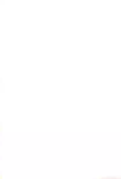 Oshibori Kuro Elf-san