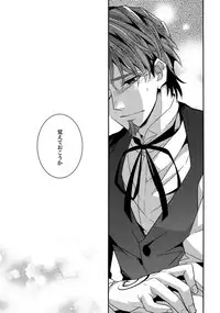 (Ou no Utsuwa 11) [Crazy9 (Ichitaka)] RE:Crazy9 (Fate/Zero)