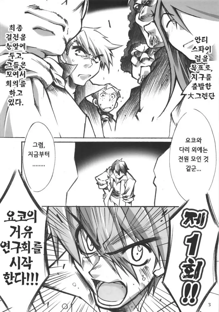 Yoko no Chichi wo Momishidaku Hon