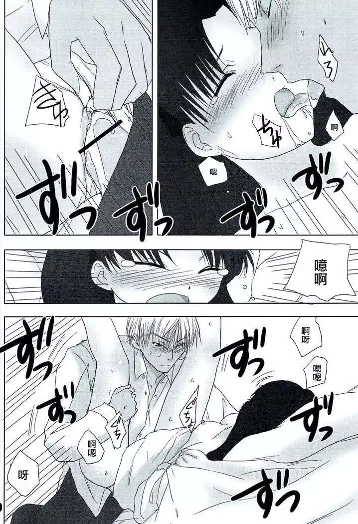 Auto und AdleR 漢化