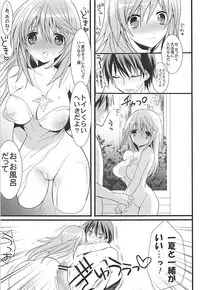 (C84) [Otona Shuppan (Hitsuji Takako)] IS Soushuuhen (IS <Infinite Stratos>)