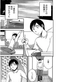 [Takahashi Kobato] Houmitsu Salt