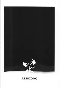 (C89) [AERODOG (inu)] Fuyu ni Saku Yuri (Kantai Collection -KanColle-) [Chinese] [輝夜漢化]