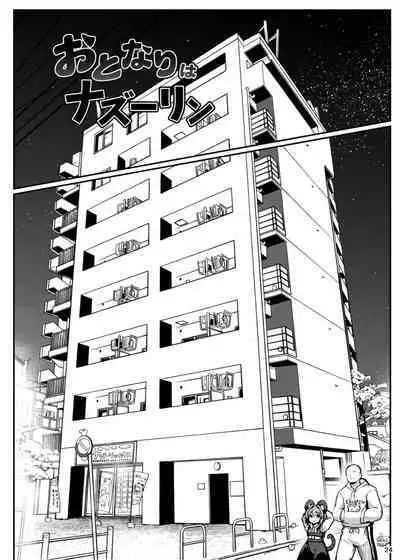 Re: Otonari wa Nazrin