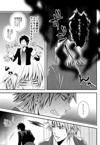 Durarara!! - First Year of High School [JPN]