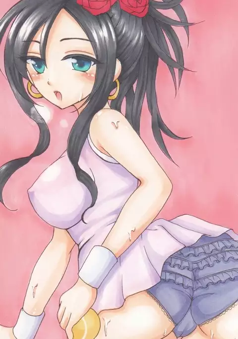 Dragon Quest V - Analog Illusts Vol.2