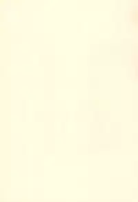 (C67) [Yanasegawabeya (KIYOSE, U-Tom)] LITTLE LOVERS 5