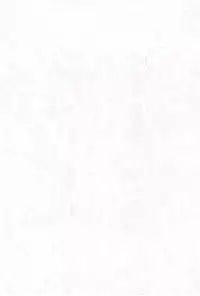 (CR23) [PHOENIX PROJECT (Kamikaze Makoto)] Okosama Lunch Original 1